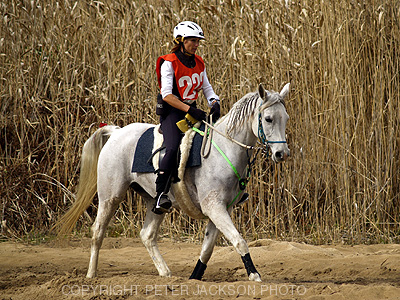 SHAHZADA-ODESSAcopy.jpg