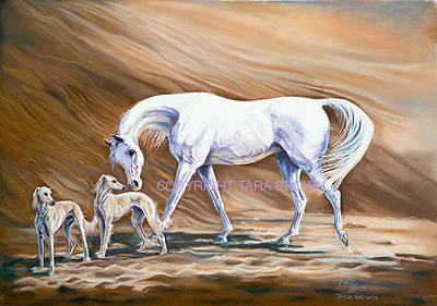 WJ6R1738.psd_DESERTCOMPANIONS_copy.jpg