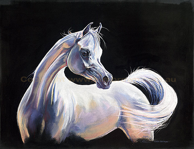 White-Horse.jpg