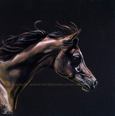 horsehead.jpg