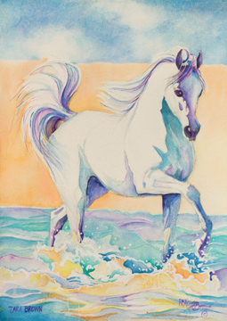 horseinwater.jpg
