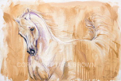 inthedesertwind_wind_Final2_copy.jpg