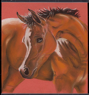mirror_foal_copy.jpg