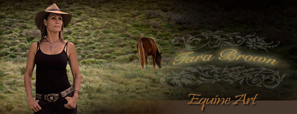 Tara Brown Equine Artist